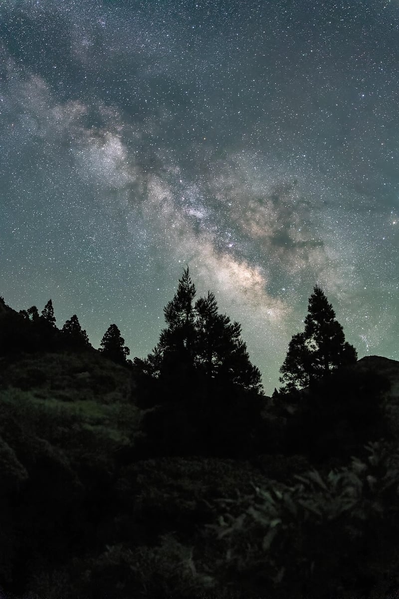 Milky Way Garden